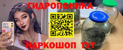 бошки Будённовск