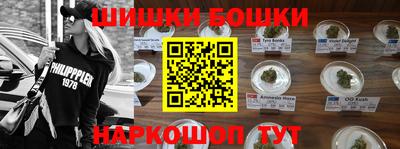 бошки Будённовск