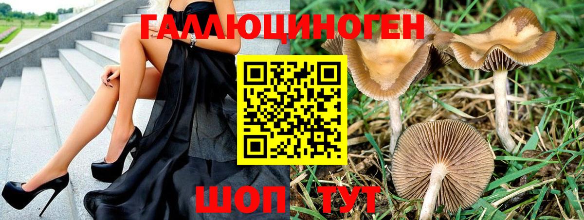 Галлюциногенные грибы GOLDEN TEACHER Надым