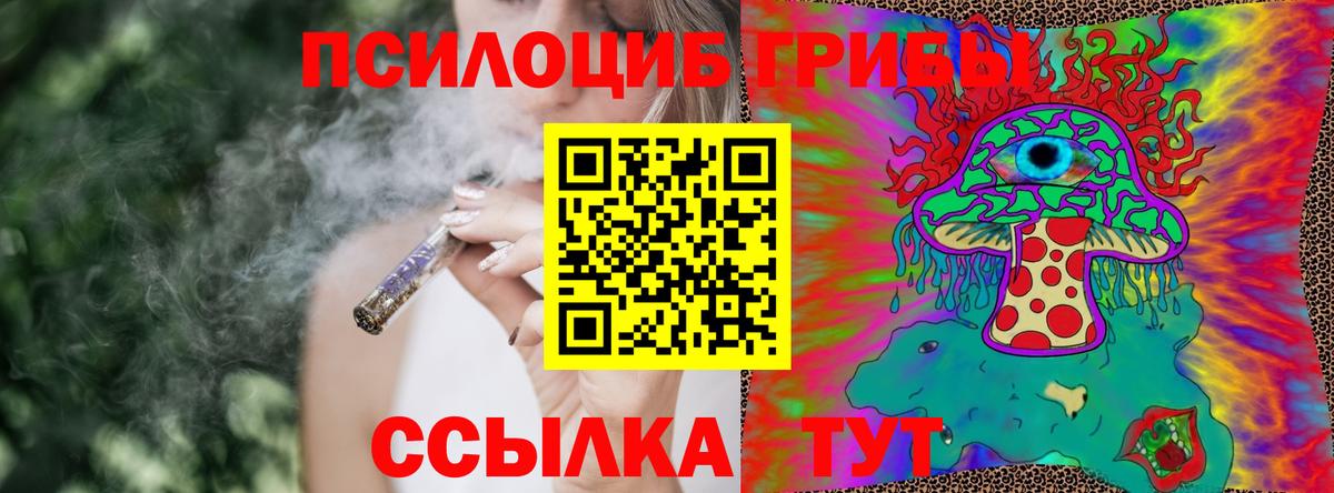 Псилоцибиновые грибы Psilocybine cubensis  Вход с VPN  Надым 